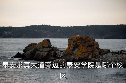 山東泰安學院，泰安求真大道旁邊的泰安學院是哪個校區