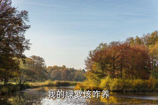 綠蘿的養護方法，綠蘿應該怎么養才能更加的茂盛