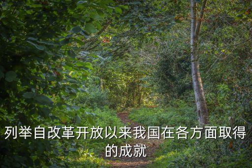 列舉自改革開放以來我國在各方面取得的成就