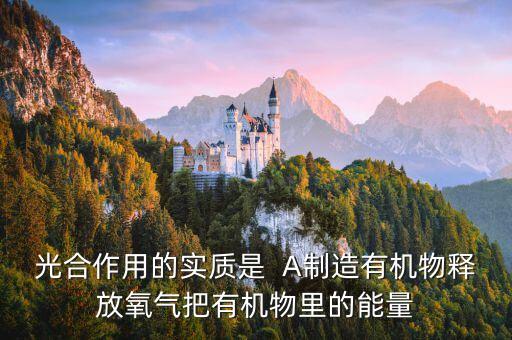 光合作用的實質是  A制造有機物釋放氧氣把有機物里的能量