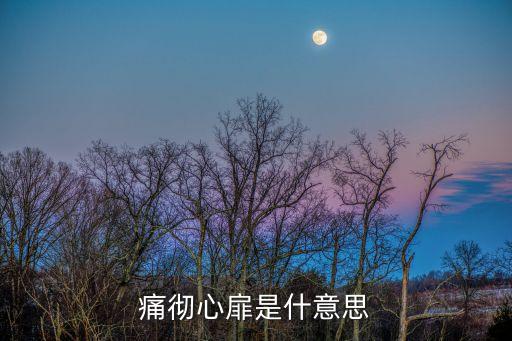 痛徹心扉是什么意思，痛徹心扉的意思是