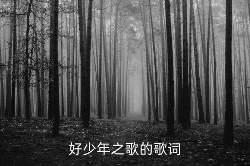 中國(guó)好少年之歌，這首歌的歌名