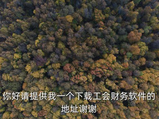 工會(huì)云財(cái)務(wù)，基層工會(huì)云財(cái)務(wù)管理平臺(tái)怎么建設(shè)