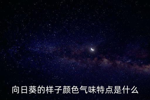 太陽(yáng)花的樣子，太陽(yáng)花長(zhǎng)啥樣