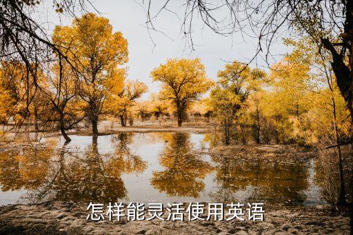 怎樣能靈活使用英語