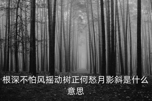 根深不怕風(fēng)搖動(dòng)，根深不怕風(fēng)搖動(dòng)樹正何愁月影斜的出處