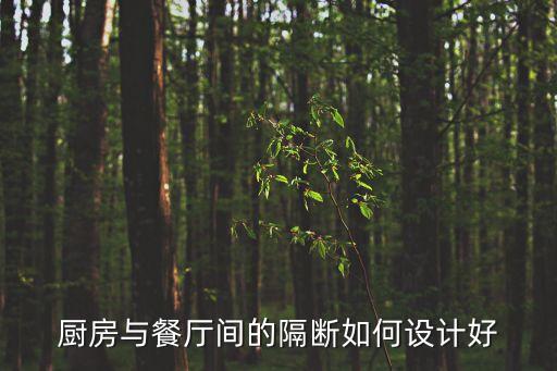廚房隔斷，如何設計廚房與餐廳的隔斷