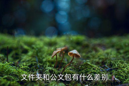 文件夾和公文包有什么差別