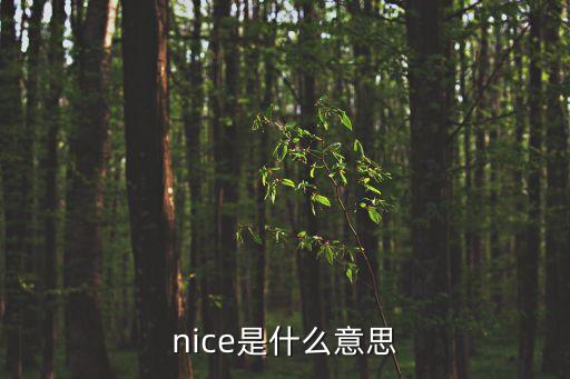 nice的意思，nice是什么意思