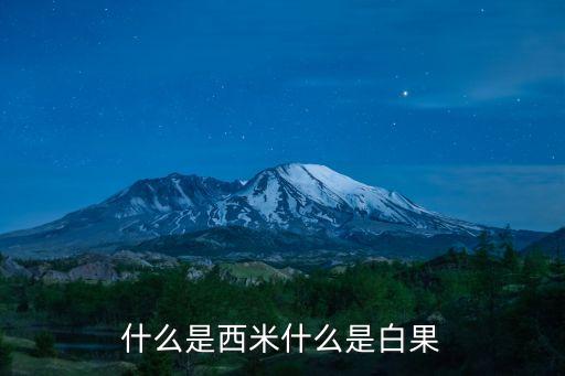 什么是西米什么是白果