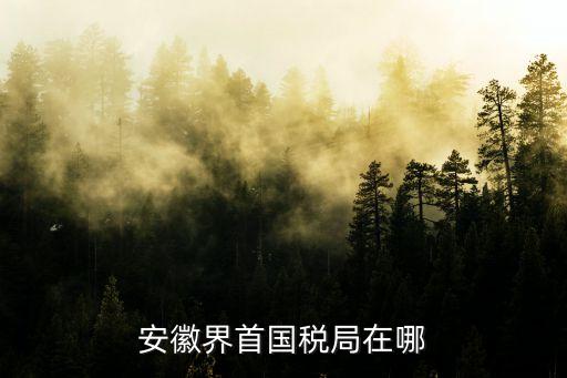 安徽國稅局，安徽亳州國稅局待遇