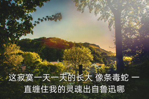 吶喊自序，這寂寞一天一天的長大 像條毒蛇 一直纏住我的靈魂出自魯迅哪
