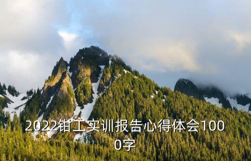 2022鉗工實訓報告心得體會1000字