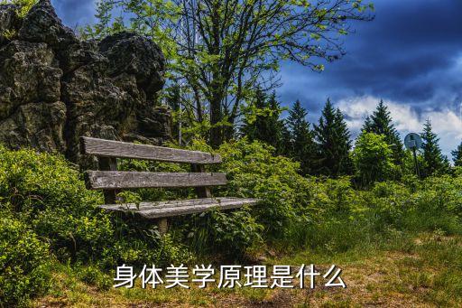 身體美學，身體美學原理是什么