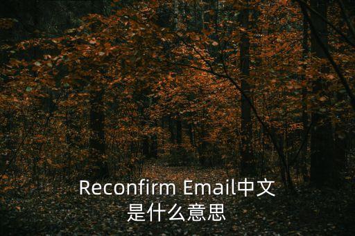 Reconfirm Email中文是什么意思