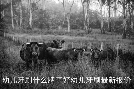 幼兒牙刷，幼兒牙刷什么牌子好幼兒牙刷最新報價
