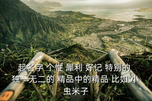 起名字 個性 犀利 好記 特別的 獨一無二的 精品中的精品 比如 小蟲米子