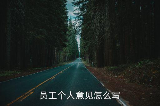 個人意見，自評評語怎么寫