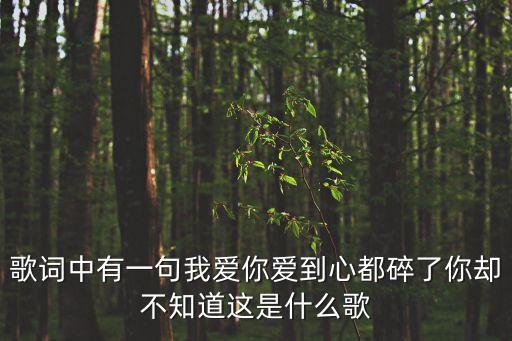 歌詞中有一句我愛你愛到心都碎了你卻不知道這是什么歌