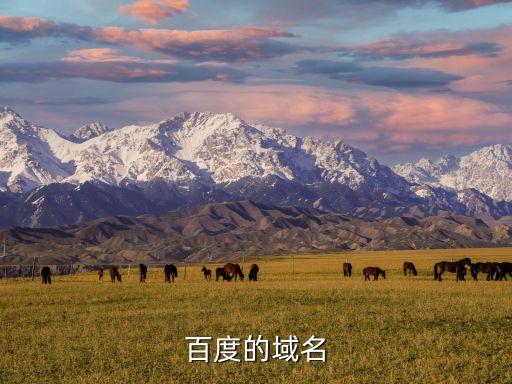 百度域名，百度的域名是什么