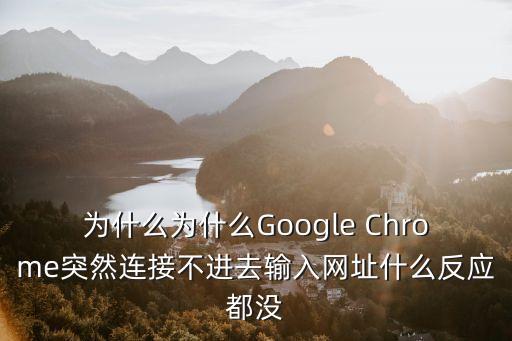 為什么為什么Google Chrome突然連接不進去輸入網址什么反應都沒
