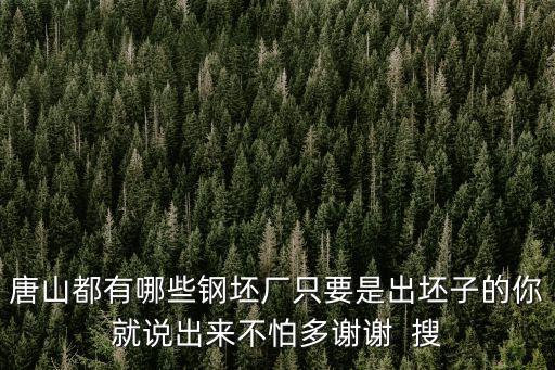 唐山鋼坯，唐山都有哪些鋼坯廠只要是出坯子的你就說出來不怕多謝謝  搜