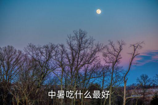 中暑了吃什么，中暑時(shí)候應(yīng)該吃什么