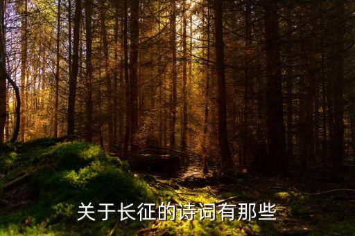 長征詩詞，描寫長征的詩