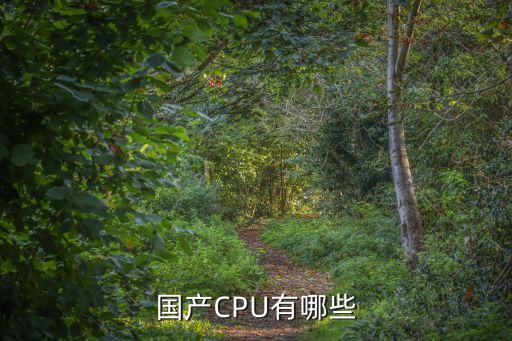 國產cpu，國產CPU有哪些啊