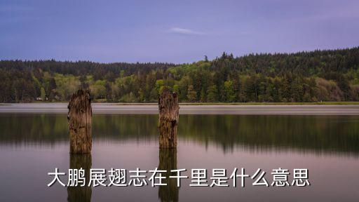 什么展翅，大鵬展翅志在千里是什么意思