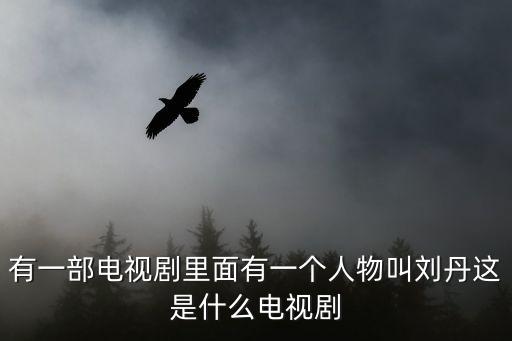 電視劇銀狐，有一部電視劇里面有一個人物叫劉丹這是什么電視劇