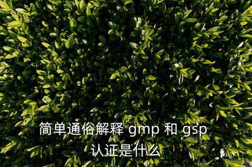 簡單通俗解釋 gmp 和 gsp 認證是什么