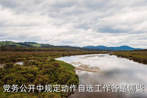 規定動作，什么是九個規定動作