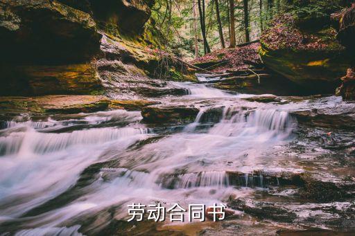 勞動合同書范本，勞動合同書