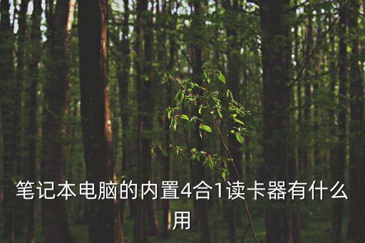 筆記本電腦的內置4合1讀卡器有什么用