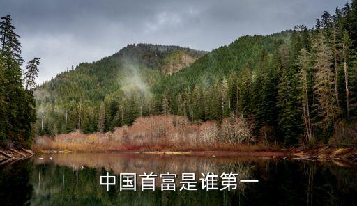 中國富人榜，中國十大首富有那十位大家告訴我啊