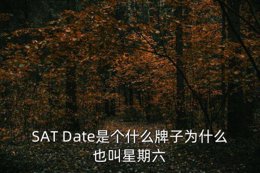 星期六女鞋，satdate是什么牌子