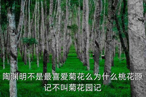 陶菊，關于陶淵明菊花詩句的賞析