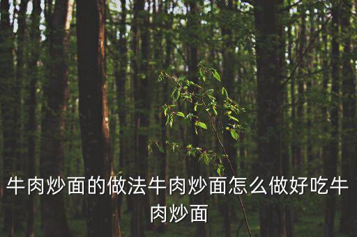 牛肉炒面的做法牛肉炒面怎么做好吃牛肉炒面