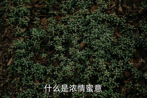 情蜜，什么是濃情蜜意