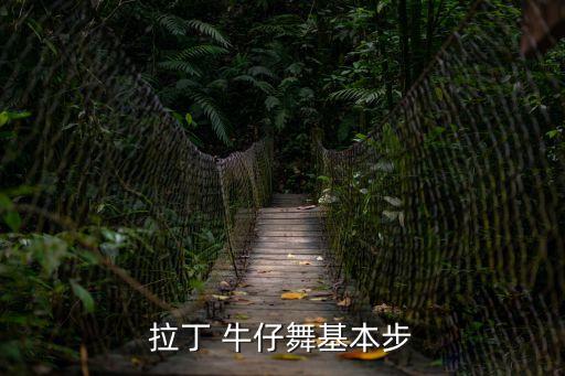 拉丁 牛仔舞基本步