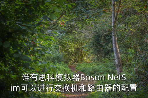 思科交換機模擬器，思科交換機模擬器