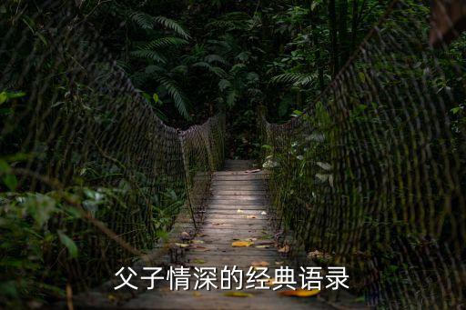 父子情深的經典語錄