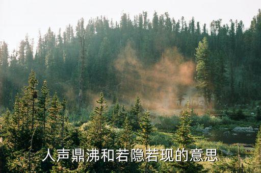 若隱若現的意思，若隱若現中的若是什么意思選擇A好像B如果