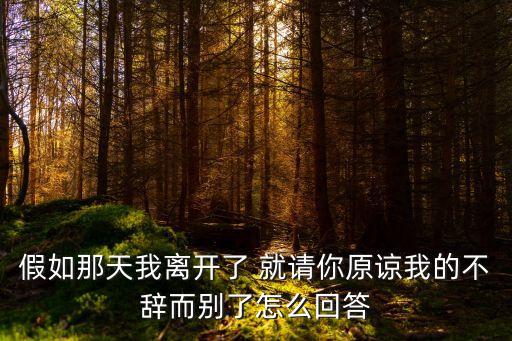 原諒我的不辭而別，請原諒我不辭而別獨自一人去遠方是許嵩的什么歌