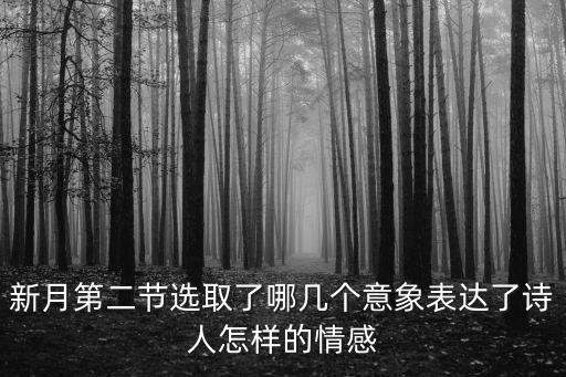 新月第二節選取了哪幾個意象表達了詩人怎樣的情感