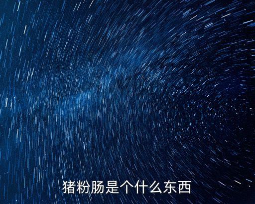 豬粉腸是個什么東西