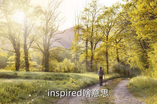 inspired，inspired啥意思