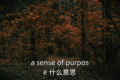 a sense of purpose 什么意思