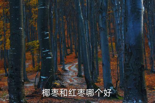 椰棗的功效，食用椰棗有什么保健作用